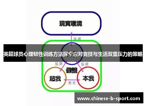 英超球员心理韧性训练方法探索应对竞技与生活双重压力的策略 英超球员心理韧性训练方法探索应对竞技与生活双重压力的策略