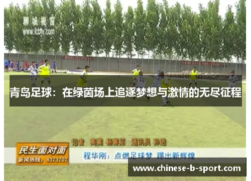 青岛足球：在绿茵场上追逐梦想与激情的无尽征程